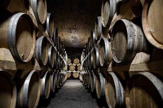 Visites et dégustation de vin pour deux au Château de la Greffière à La Roche-Vineuse (71)
