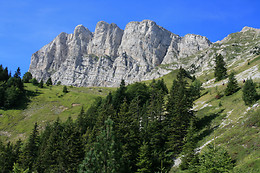 EcoRide