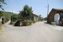 ALDEIA OLIVEIRAS