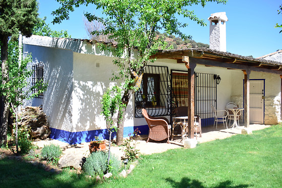 VENTA DEL CELEMÍN - photo 6