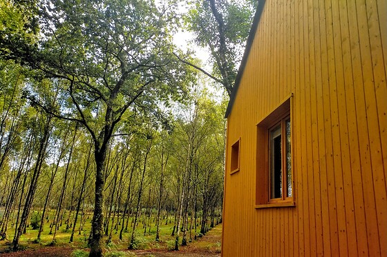 CABANAS DA ULLA - photo 32