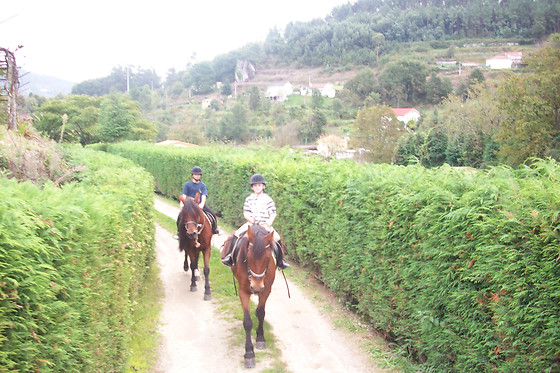 QUINTA DO FIJÓ - photo 8