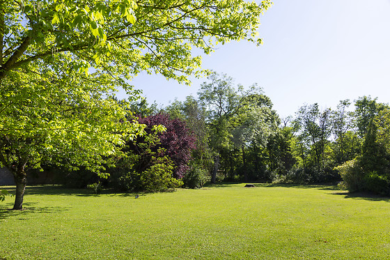 Comfort Hotel Pithiviers - photo 2