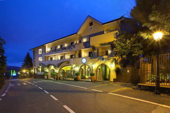Airne Wellness Hotel - photo 6
