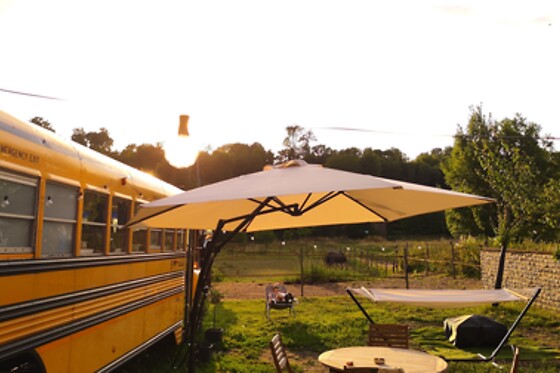The School Bus - photo 6