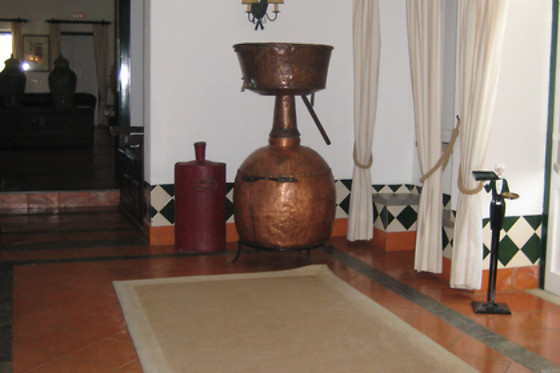 HERDADE DE SAMARRA - photo 4
