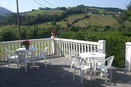 TOLARE BERRI