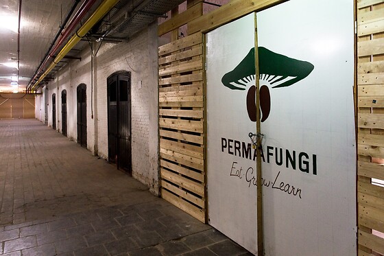 PermaFungi - photo 0