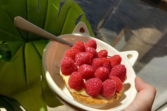 Chez Miss Miaouw - photo 6