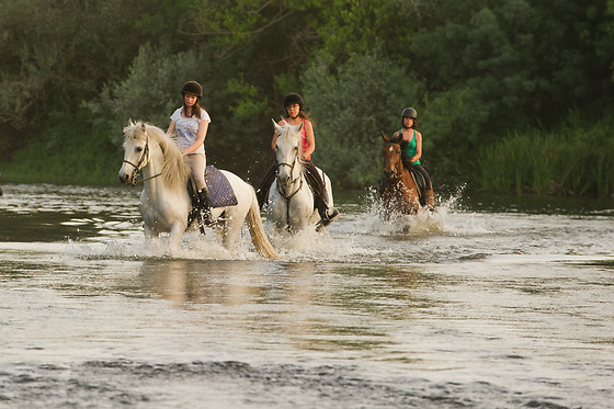 CENTRO ECUESTRE LOS CABALLOS DE LA RIBERA - photo 0