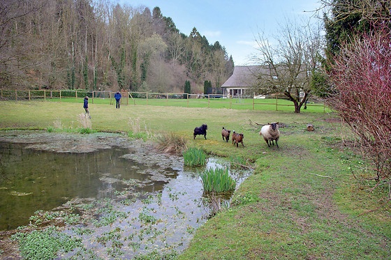 Le domaine des terres du Thil - photo 9