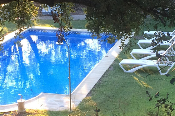 FINCA LOS CANCHALES - photo 4