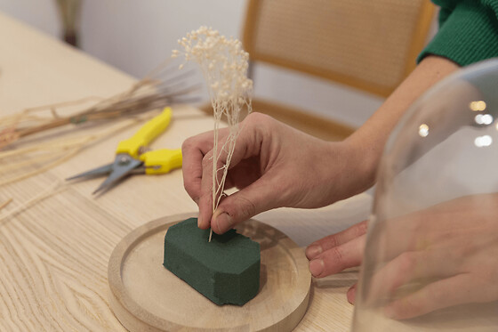 Atelier composition florale sous cloche à Paris 11ème