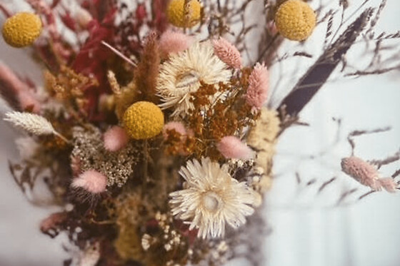 Funbooker - photo 0