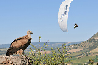 Vol sensations en parapente à Millau (12)