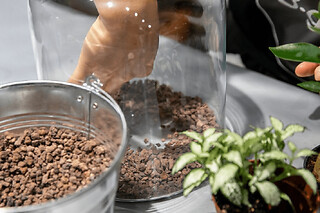 Atelier terrarium à Paris 11ème