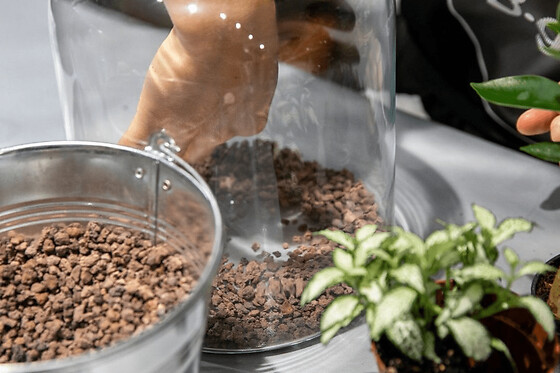 Atelier terrarium à Paris 11ème