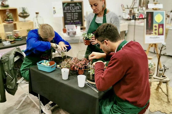 Atelier terrarium à St Martin du Var (06) - Formule Grand bohème (25 x 23) -1h30