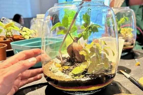 Atelier terrarium à St Martin du Var (06) - Formule Grand bohème (25 x 23) -1h30