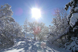 Montagne Mélézin