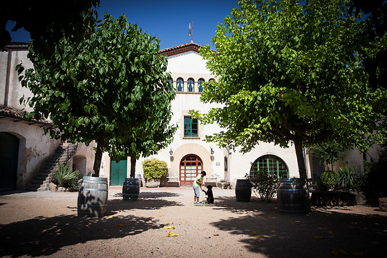 BODEGA BOHIGAS - photo 0
