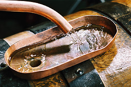 Le Cep enchanté