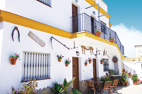 CASA RURAL EL LIMONERO - photo 0