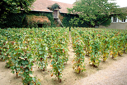 Hameau Duboeuf
