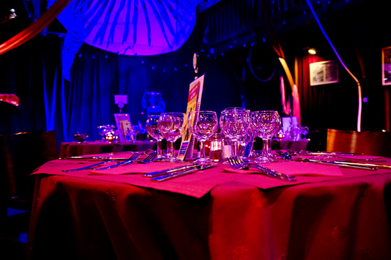 Cabaret Cirque Le Zèbre - photo 5