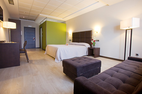 HOTEL TORRE DE NUÑEZ - photo 6