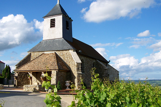 Atelier d’œnologie pour 2 au Sentier du Vigneron à Mutigny (51)