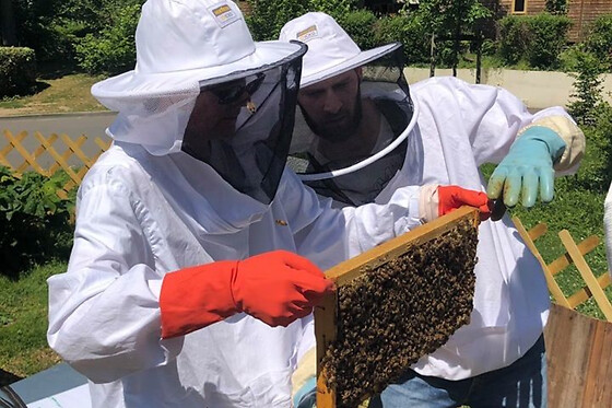 Stage journée Apiculture à Paris