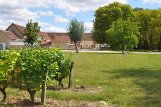 Dégustation - Les Pierres d'Aurèle - Saint-Georges-sur-Cher (41)