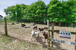 Camping des cerisiers