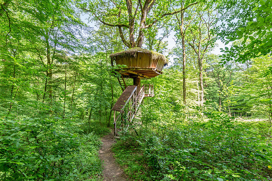 Un séjour à 2 à L'Arbre à Cabane à Guyonvelle (52)