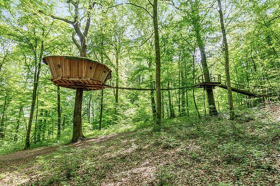 Un séjour à 2 à L'Arbre à Cabane à Guyonvelle (52)