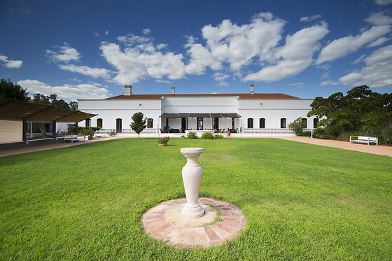 Alentejo Star Hotel**** - photo 7