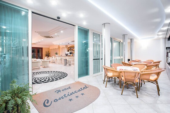 Hotel Continental - photo 6
