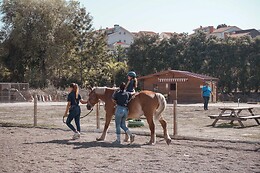 QUINTINHA PEDAGÓGICA DE CANELAS | CENTRO EQUESTRE COUTO PEREIRA