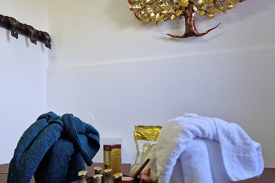 Thaitip Massage Istres et Martigues - photo 10