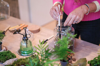 Atelier terrarium à Boulogne (92)