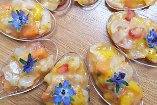 Cours de cuisine "tapas & cocktail" à Toulouse (31)