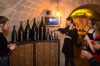 Visite & dégustation de vins Premium aux Caves du Louvre, Paris