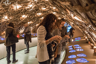 Visite & dégustation de vins Premium aux Caves du Louvre, Paris