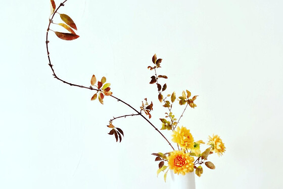 Funbooker - photo 1
