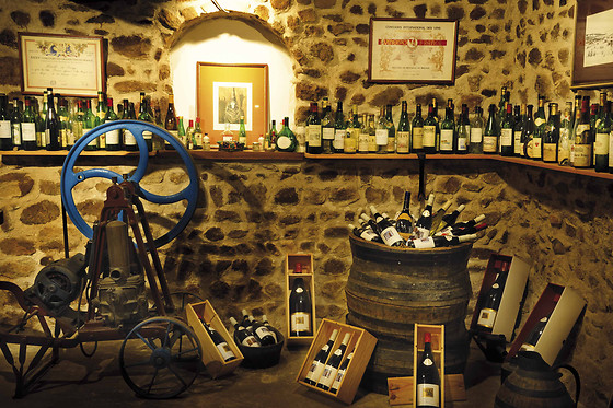 Domaine Brisson - photo 5