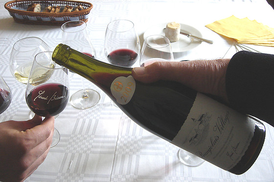 Domaine Brisson - photo 8