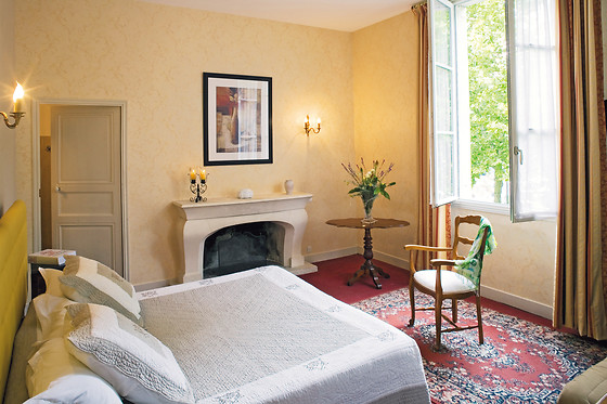 Hôtel Le Plantagenet - photo 14