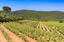 Domaine de la Portanière