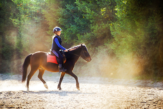 Le Haras des Ouches - photo 6